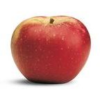 Winesap